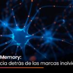 Brand Memory