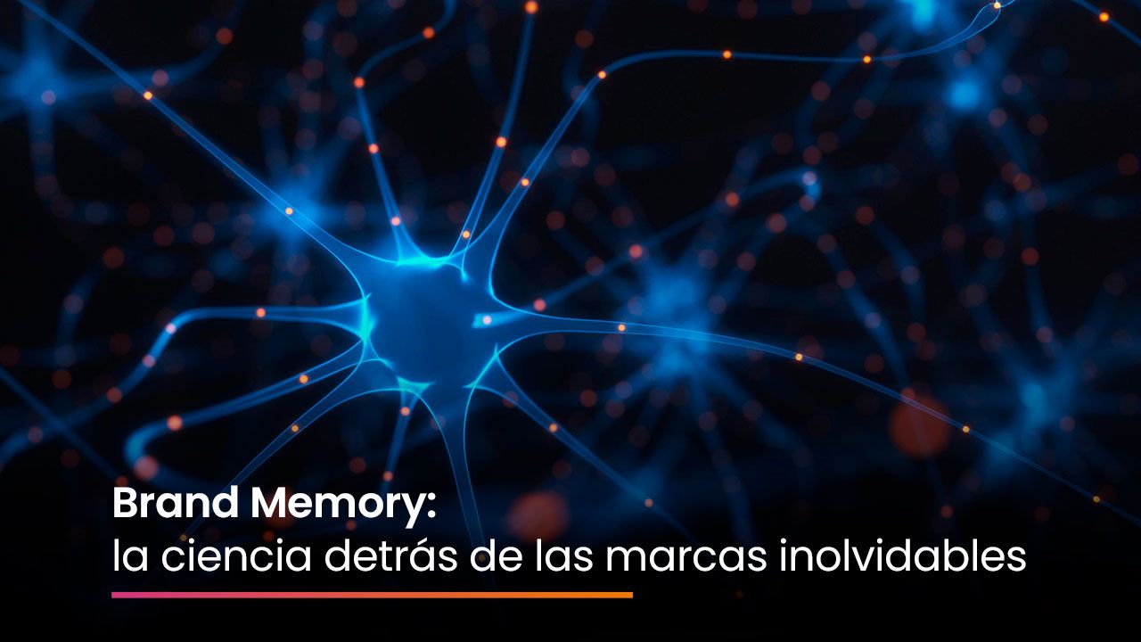Brand Memory